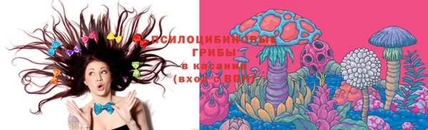 МДПВ Алексин